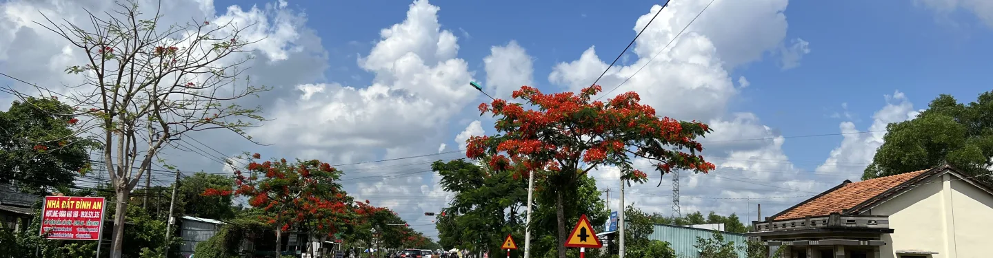 Có nên mua đất nền Cần Đước năm 2026? Phân tích chi tiết