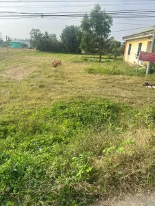 Bán đất lúa mặt tiền Tân Trạch Mỹ Lệ, Cần Đước; Dt 935m2