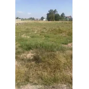 Bán đất thổ cư đường xe hơi xã Cần Đước; 300m2 thổ cư, xã Phước Tuy cũ