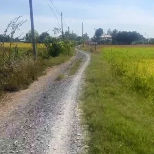 Bán đất thổ cư đường xe hơi xã Cần Đước; 300m2 thổ cư, xã Phước Tuy cũ