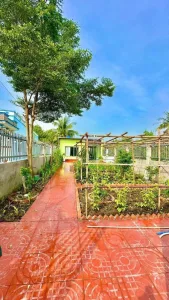 Nhà vườn thị trấn Cần Giuộc; xã Cần Giuộc Tây Ninh: 310m2 thổ cư
