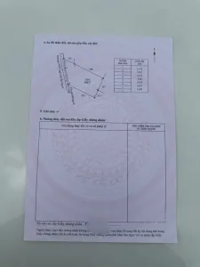 Đất lúa đường xe hơi xã Phước Lý, Cần Giuộc: 994m2
