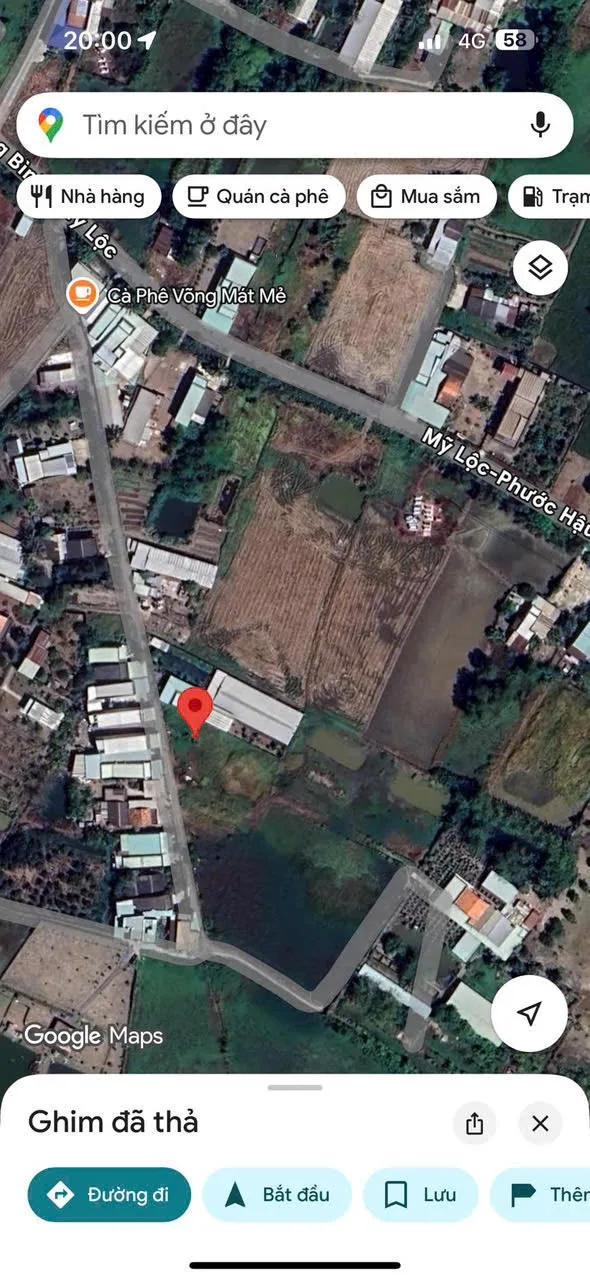 Đất lúa đường xe hơi xã Phước Lý, Cần Giuộc: 994m2