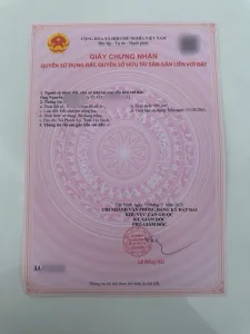 Đất lúa đường xe hơi xã Phước Lý, Cần Giuộc: 994m2