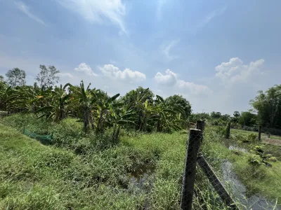 Bán đất vườn xã Hưng Long Bình Chánh: 1178m2