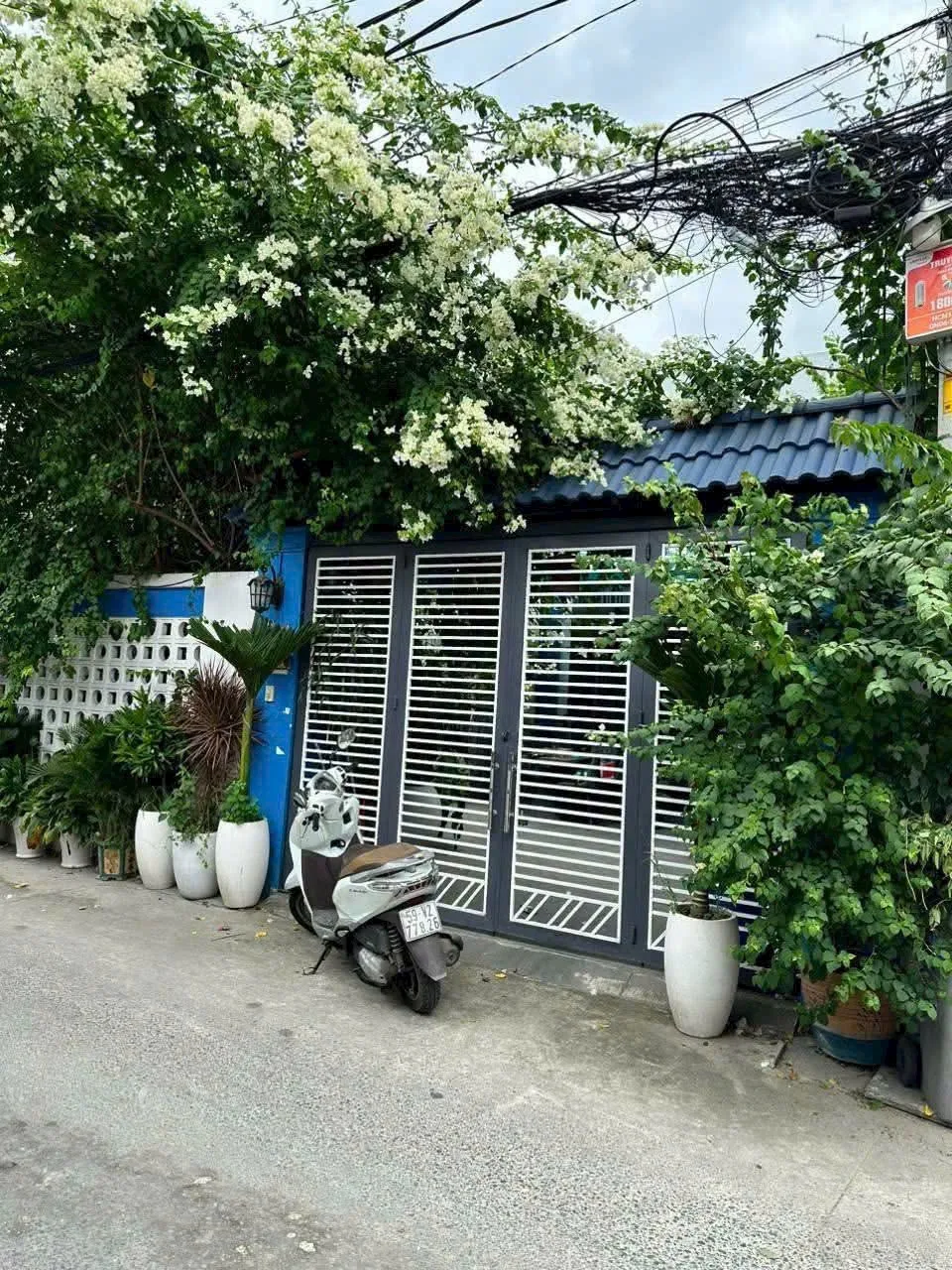 Bán biệt thự Thới Tam Thôn Hóc Môn: 12x17m