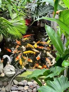 Bán biệt thự Thới Tam Thôn Hóc Môn: 12x17m