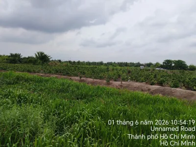 Bán đất vườn xã Bình Lợi Bình Chánh: 4616m2, giáp kinh, giáp đường