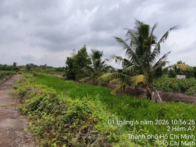 Bán đất vườn xã Bình Lợi Bình Chánh: 4616m2, giáp kinh, giáp đường
